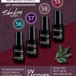 Smalto Semipermanente – Uv Lacquer 5 ml n 56