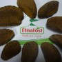 Noce brasiliana in guscio tostata