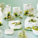 linea orchidea amande