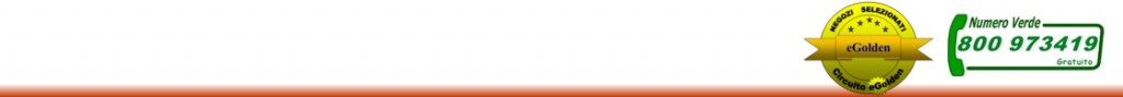 logo_wp2.jpg